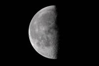 Half-Moon-485x728.jpg